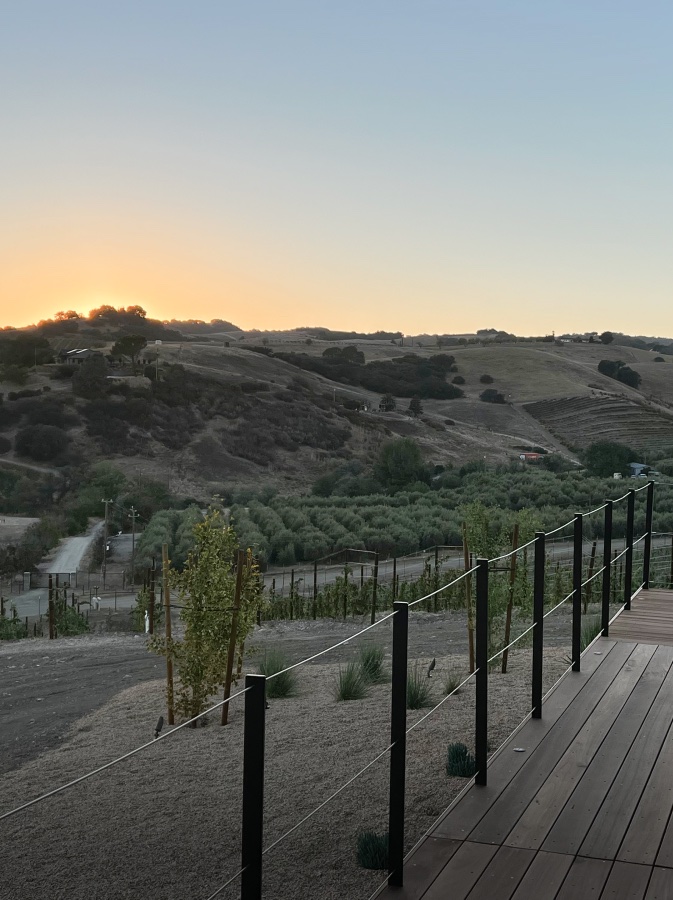 Arbor Vineyard